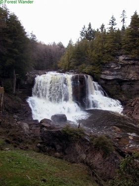 Blackwaterfalls Park