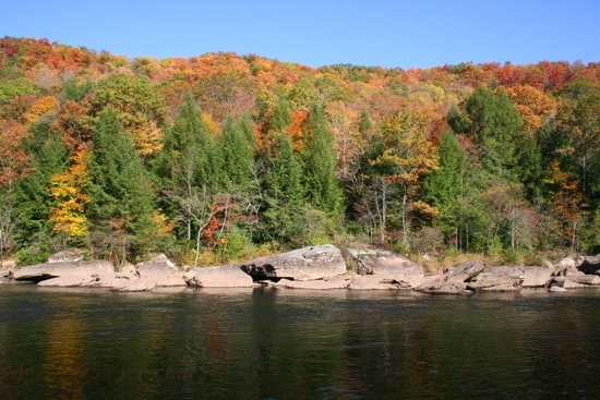 Gauley River 2