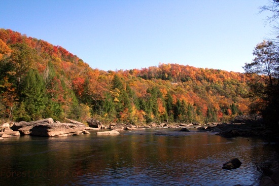 Gauley River