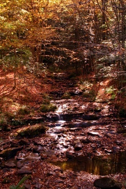 Judy Springs Waterfall 1