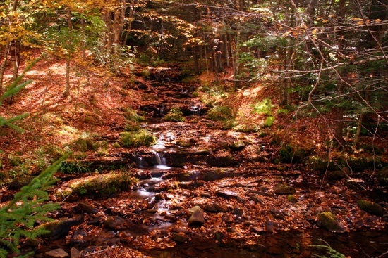 Judy Springs Waterfall 2