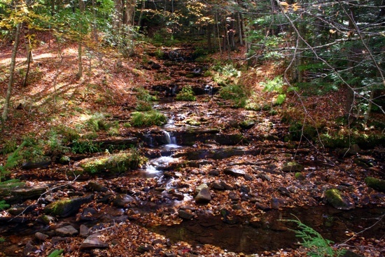 Judy Springs Waterfall