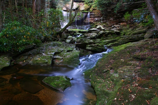 Magical Elakala Waterfall 4