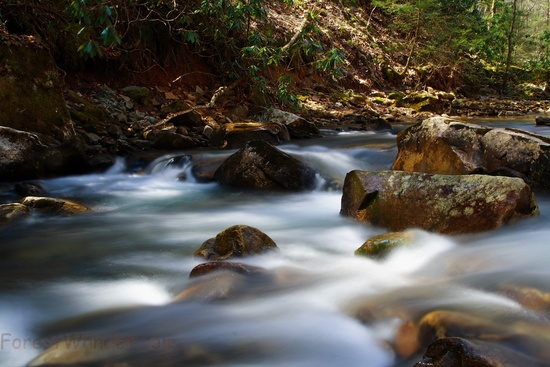 Mill Creek Spring Rocks