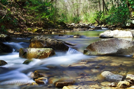 Mill Creek Spring