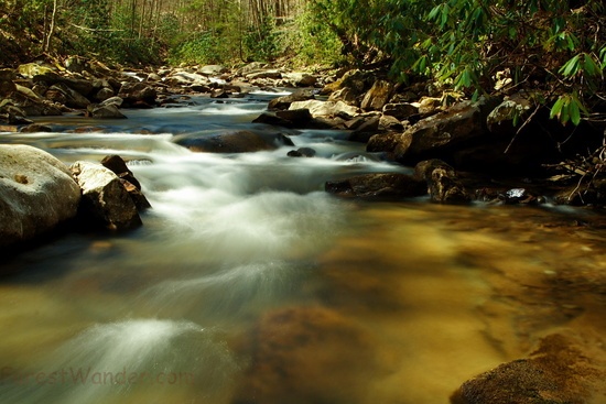 Mill Creek Stream Bank