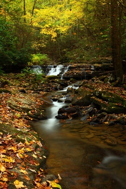 Autumn Creek Waterfalls Fall Foliage Leaves