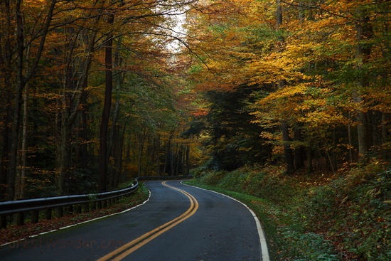 West Virginia Winding Autumn Trees Country Road